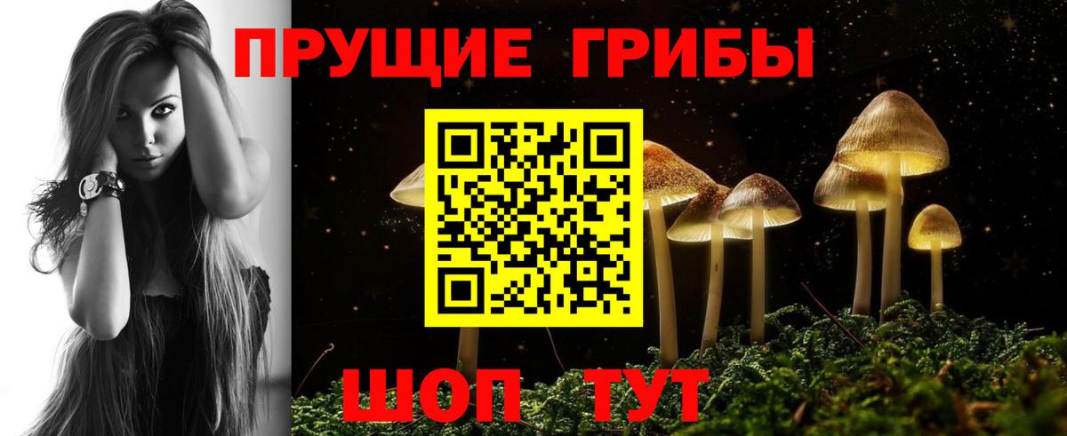 Михайловка  Галлюциногенные грибы ЛСД  Вход с VPN 